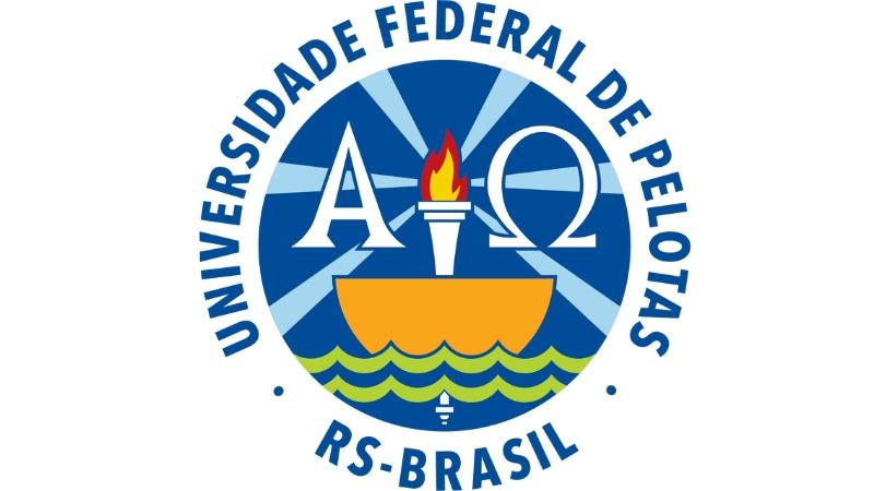 Autores da pesquisa: Eduardo Viegas da Silva, Fernando Pires Hartwig, Fernando Barros e Joseph Murray.